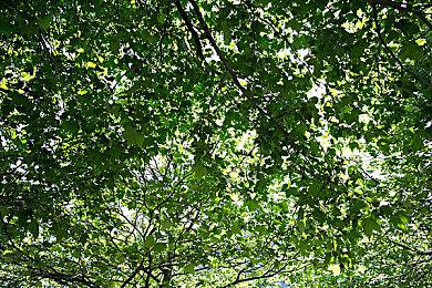 俯视角射击游戏《Z字特遣队》“虚空幻境”DLC下周上线，赛博护士时装首曝